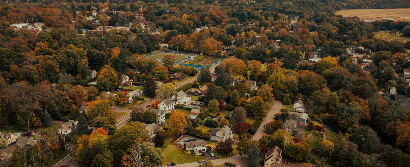 Carson-Newman University - Ferrilli